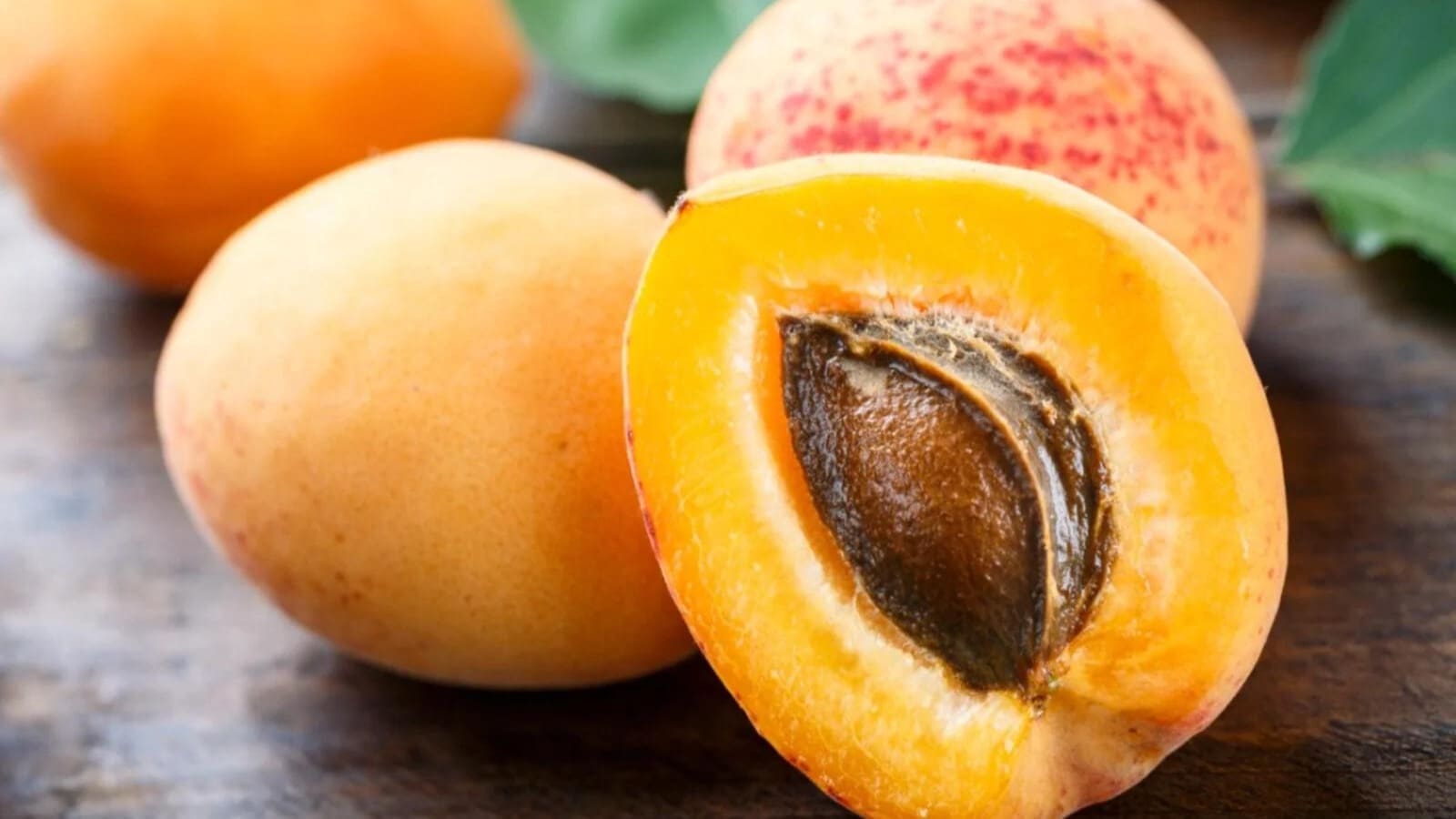 Kern Tec secures US$12.7M funding to produce sustainable ingredients from stone fruit pits