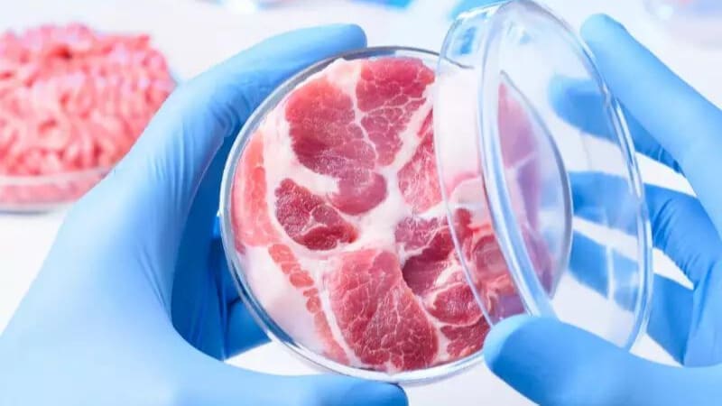 Steakholder Foods files patent for “Immortal Bovine Cell Line” technology to revolutionize cultivated meat industry