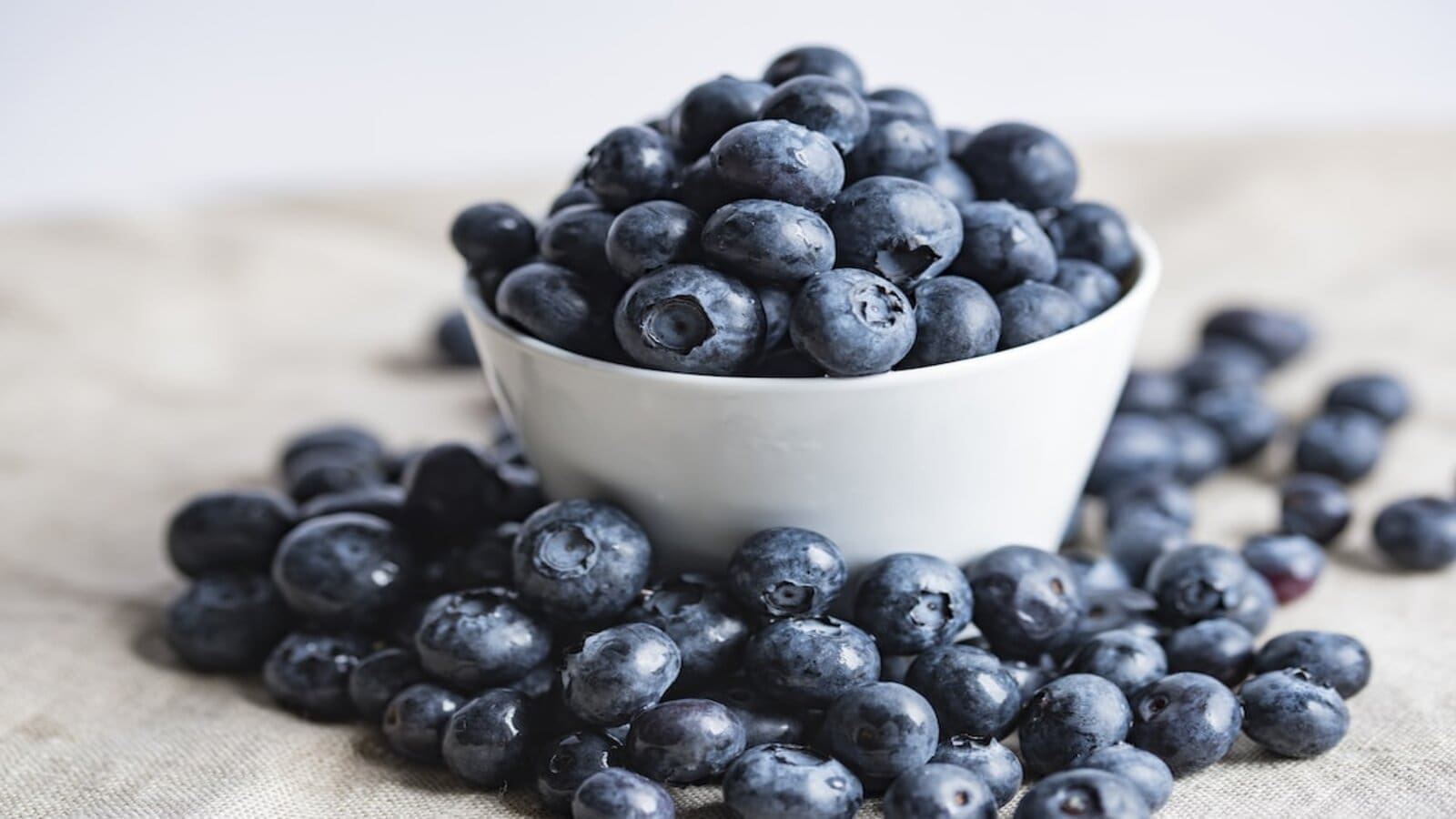 Namibia Berries to invest US$80M over 7 years to boost blueberries production