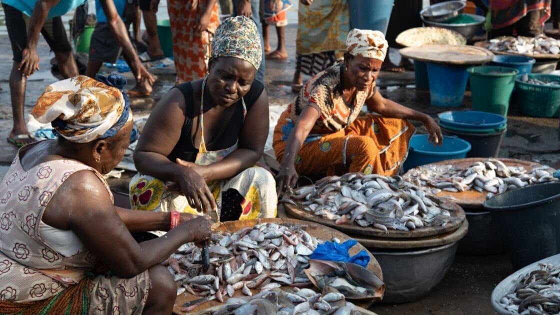 West Africa’s surging demand for fish fuels aquaculture opportunities