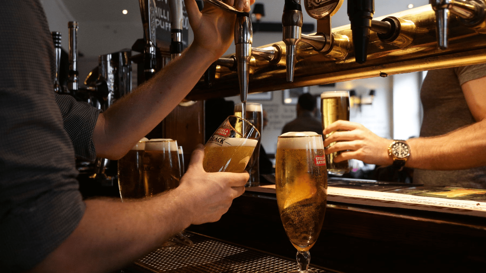Study reveals climate change could diminish beer quality, escalate prices in future