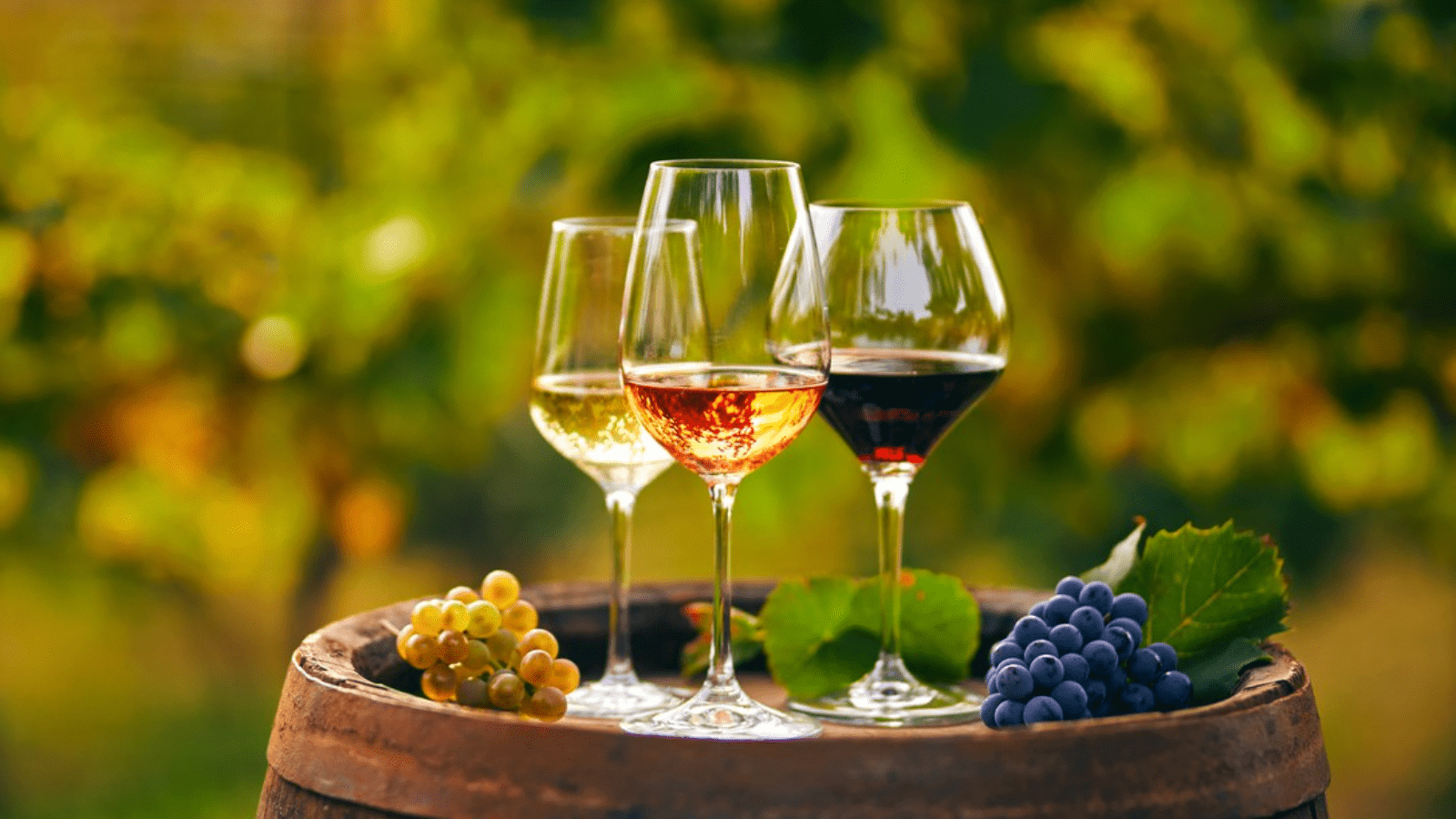 UK introduces wine sector reforms to promote productivity, enhance innovation