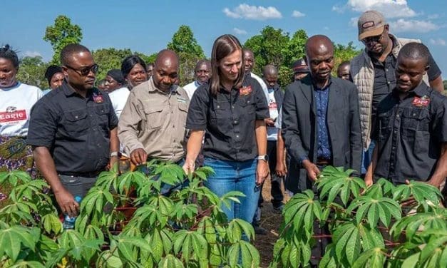 Zambian Breweries kickstarts sorghum production campaign 