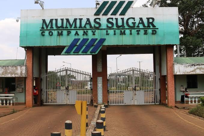 Revived Mumias Sugar Company commences operations, promises support to farmers 