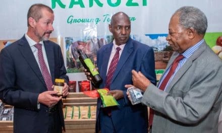 Kakuzi expands macadamia production to meet rising edible oil demand