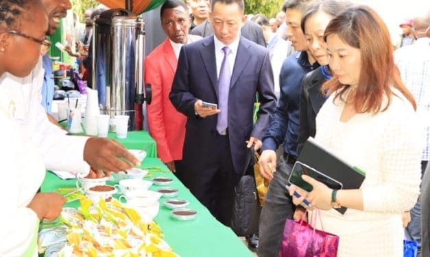 Kenya eyes lucrative Chinese coffee market with US$100m export potential