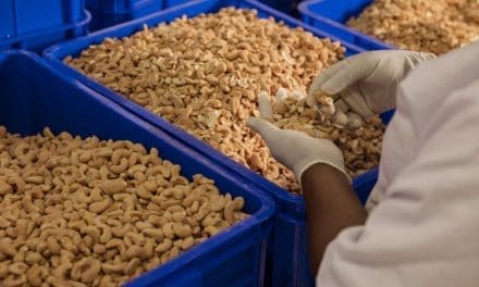 Mirae Green Chemical, boosts Tanzania’s cashew industry with US$5M processing facility