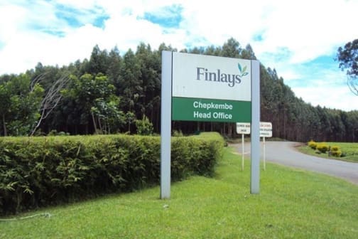 Browns Investments initiates sale of 15% stake in James Finlay Kenya to local communities 