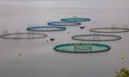 Togo to allocate US$3.3M to boost fishing, aquaculture sector in 2024