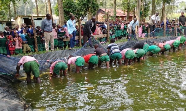IFAD-Funded initiative empowers Kenyan Schools to incorporate fish into daily meals