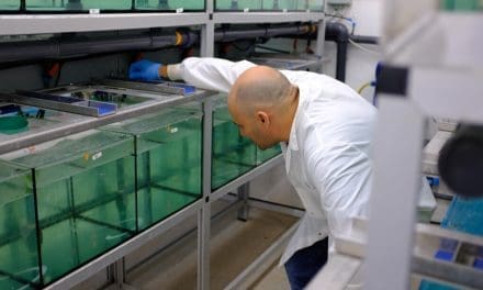 ViAqua Therapeutics secures US$8.25M investment led by S2G ventures to Scale RNA-based solutions in aquaculture