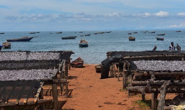 Tanzania faces 18% decline in fish production due to overfishing, climate change