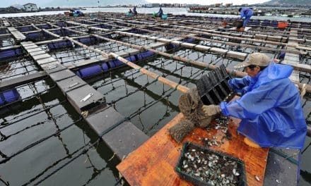 China expands offshore aquaculture operations to ensure food security amid climate change threats