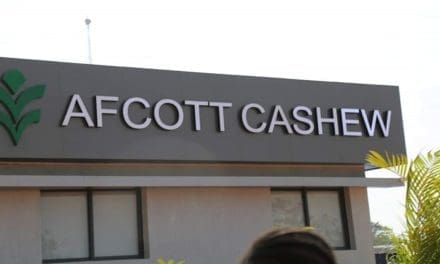 Ivory Coast inaugurates Afcott cashew nut processing factory to boost local processing
