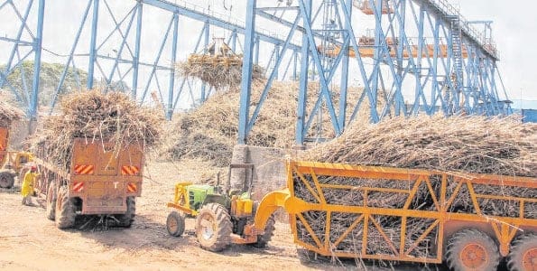 Kenya initiates leasing of five public sugar factories in sector revival plans