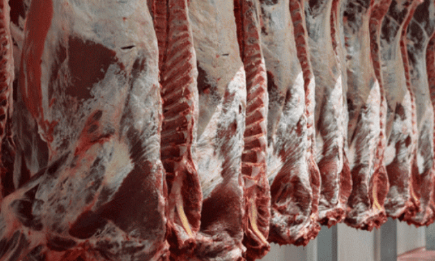 Kenya’s Isiolo County anticipates US$5.8M slaughterhouse to boost livestock sector