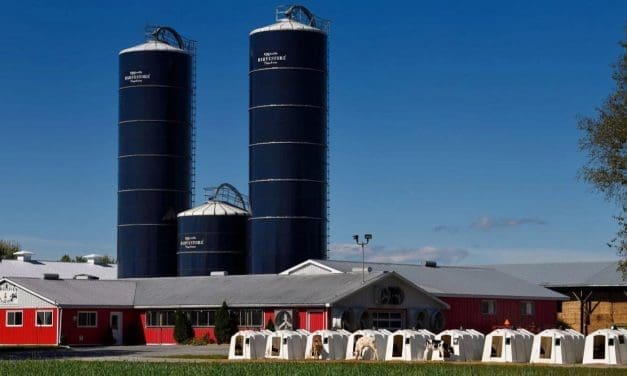 Canada invests US$66M in dairy, poultry, and egg industries to boost modernization, productivity