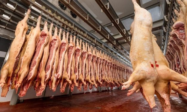 Gobarto plans acquisition of Albo in meat industry consolidation