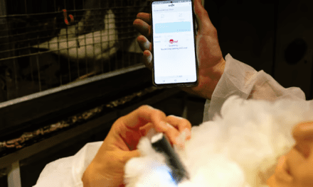 Cargill unveils REVEAL Layers technology for poultry monitoring