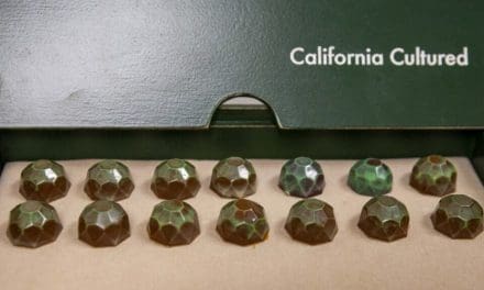 Meiji Holdings’ reinvestment in California Cultured paves way for cell-cultured chocolate 