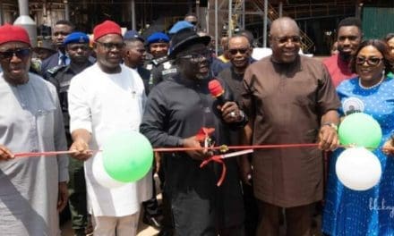 Delta State Government launches palm oil production plant to boost local industry