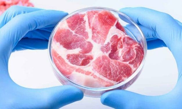 ProFuse Technology introduces Non-GMO cell lines for accelerated cultivated meat production