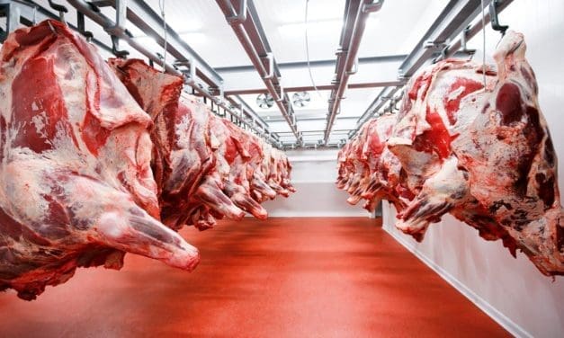 Morocco inaugurates new slaughterhouse as part of plan to modernize red meat sector