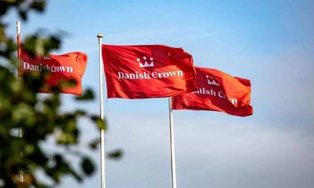 Denmark’s Danish Crown proposes closure of Ringsted Abattoir, impending loss of 1,200 Jobs