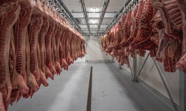 Supreme Meat Ltd. to establish Nigeria’s first modern pork processing plant