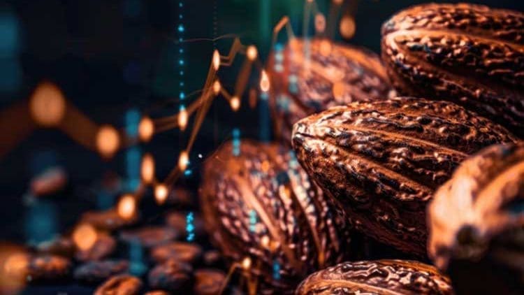 Thumbnail for Macadamia processors urge government to reinstate ban on raw nut exports  