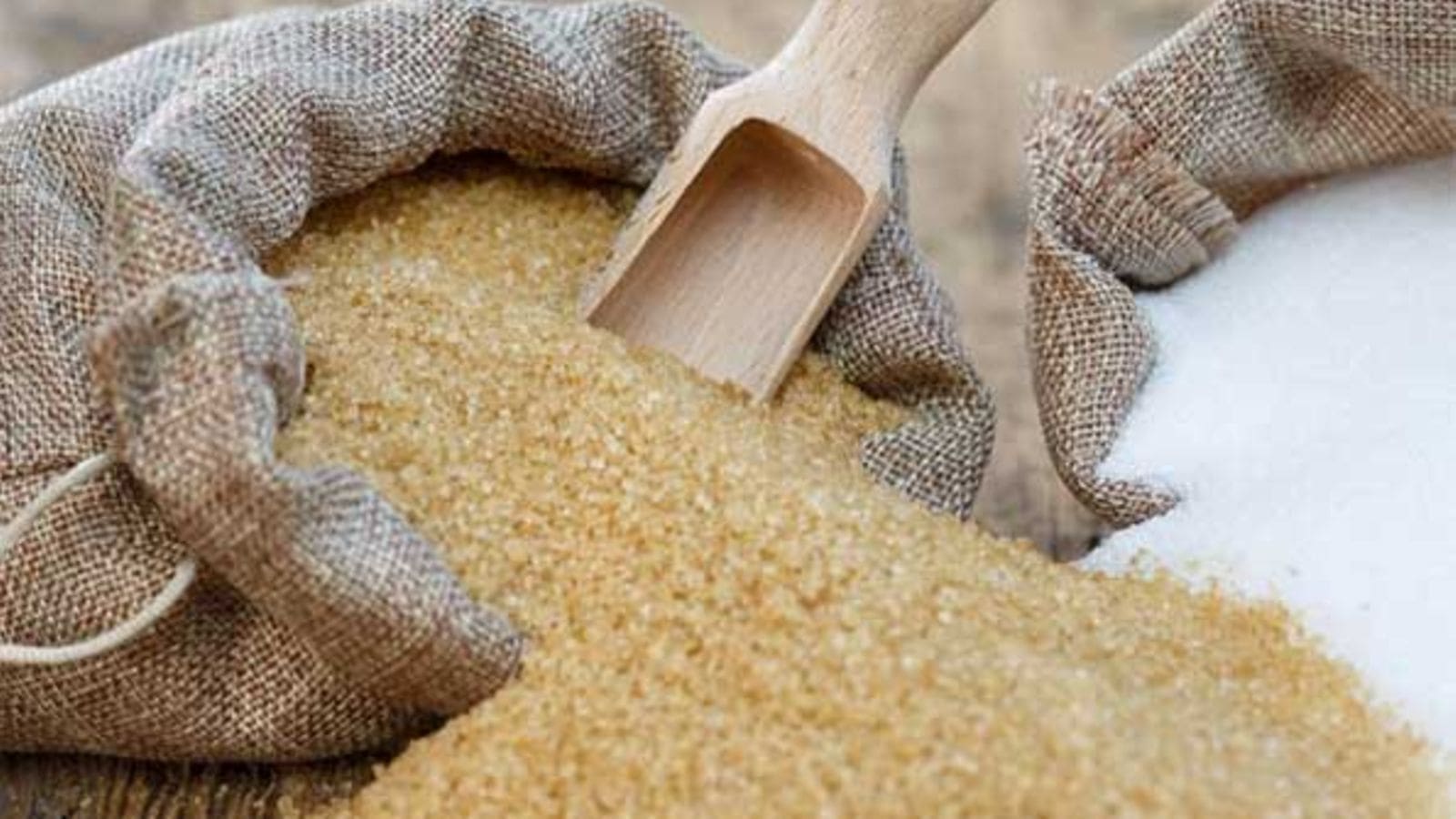 Thumbnail for EHPEA strengthens Ethiopian horticulture with member-focused initiatives