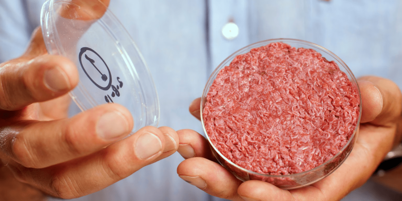 JBS’s BioTech Foods opens new US$36.1M cultivated meat facility in ...