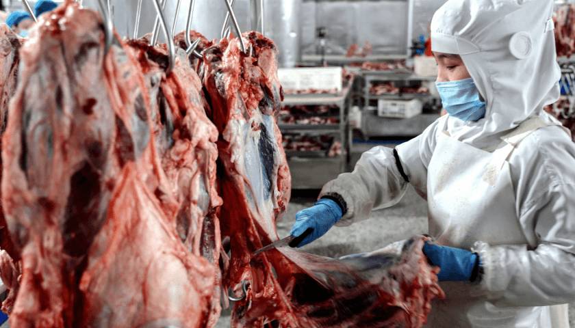 Thumbnail for Argentina’s meat exports reach US$3.02B in 2024, report shows