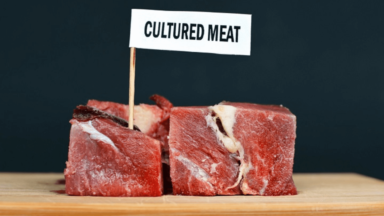 Thumbnail for UK parliament approves research into cultivated meat production