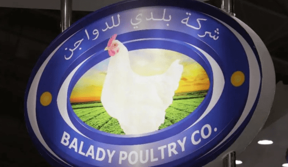 Thumbnail for Almunajem’s Balady Poultry Trading Co. to invest US$304M in poultry operations, expansion plan