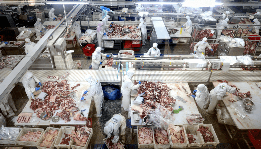 Thumbnail for Trump administration pushes for faster meat processing